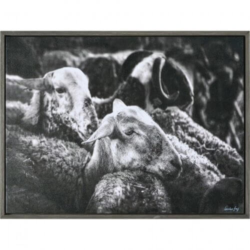 RENWIL w6582 SYLVAN Vancouver