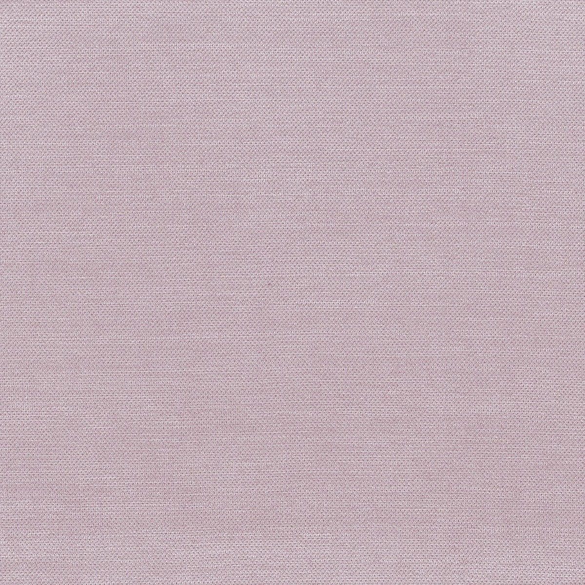KORSON flemish blush Calgary
