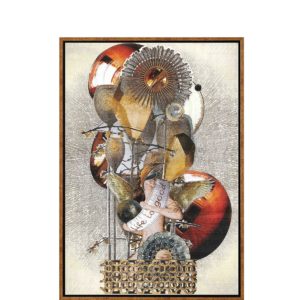 KORSON sk105 Embrace print Winnipeg