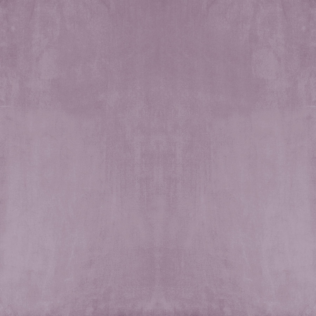 KORSON velour lilac Toronto