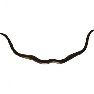 RENWIL w6616 PAULINE Antlers Vancouver