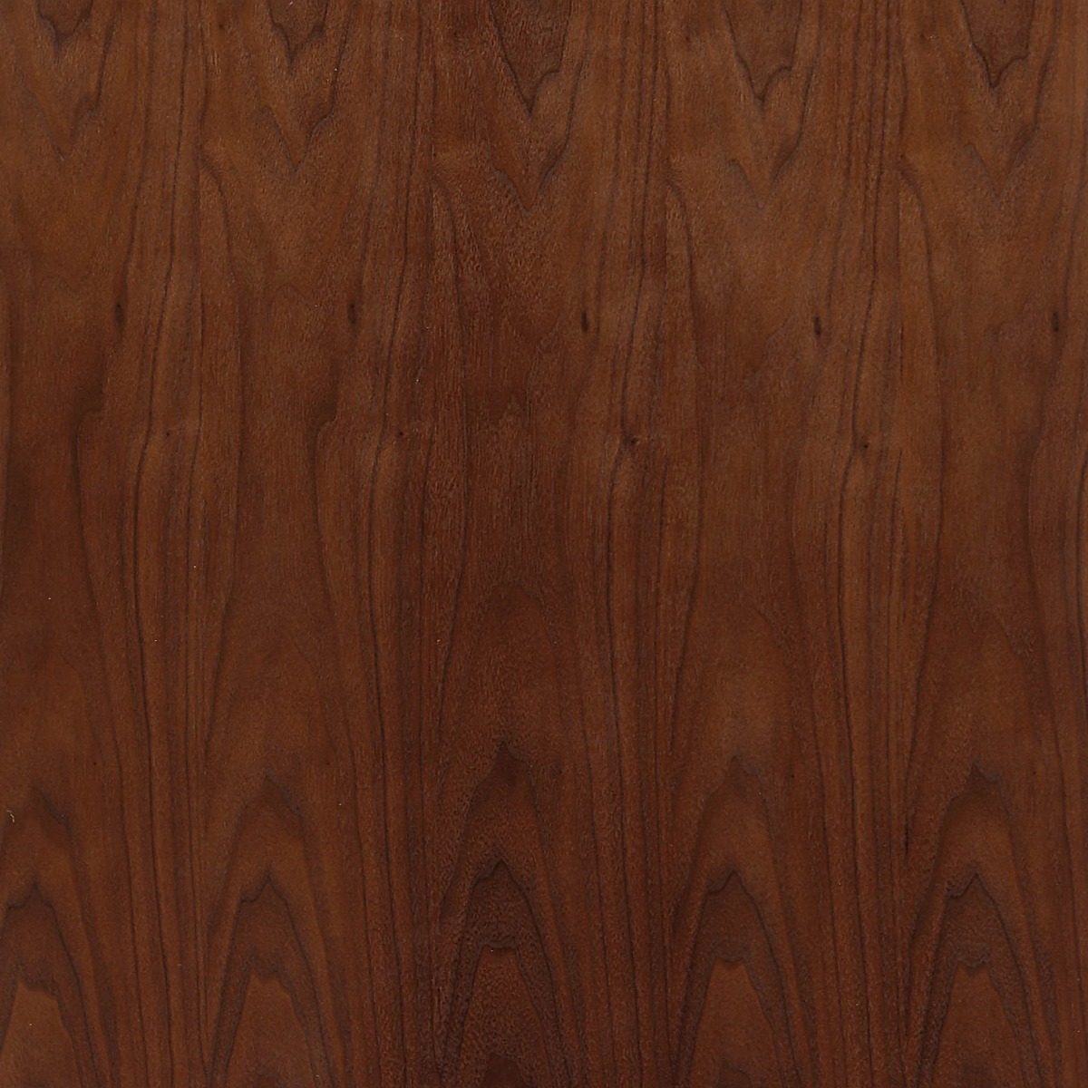 KORSON walnut finish Ottawa