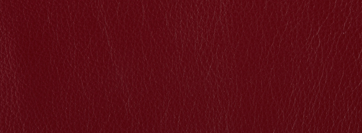 Donald Choi 10313 Red Ottawa