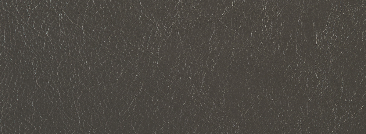 Donald Choi 10316 platinum leather Calgary