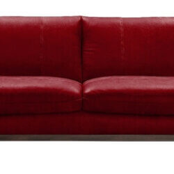 Donald Choi 491030-10313 Luna sofa Toronto