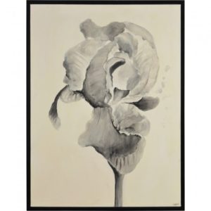 RENWIL ol1912 bardet Quebec City