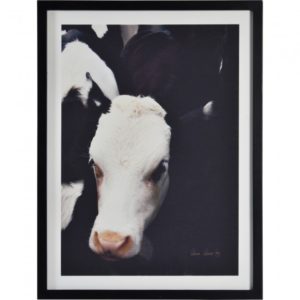 RENWIL w6639 dorchester Mississauga