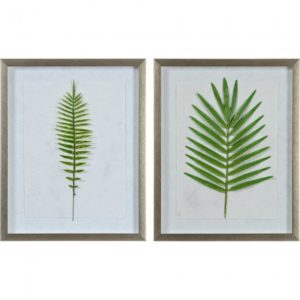 RENWIL w6655 bayard Calgary