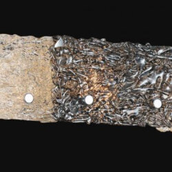 CWI LIGHTING 5640w33c Wilma Edmonton