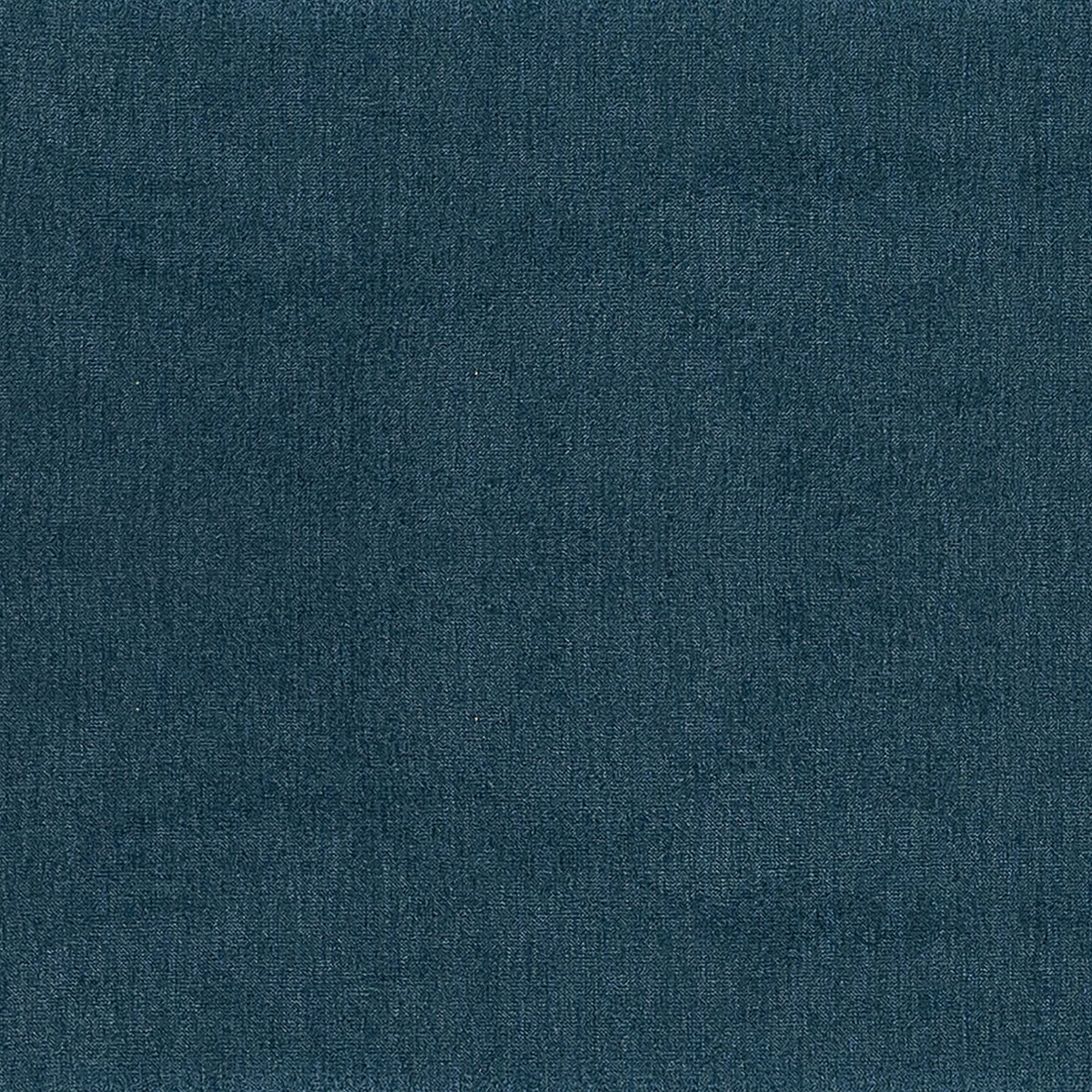 Renwil Petrol Colour