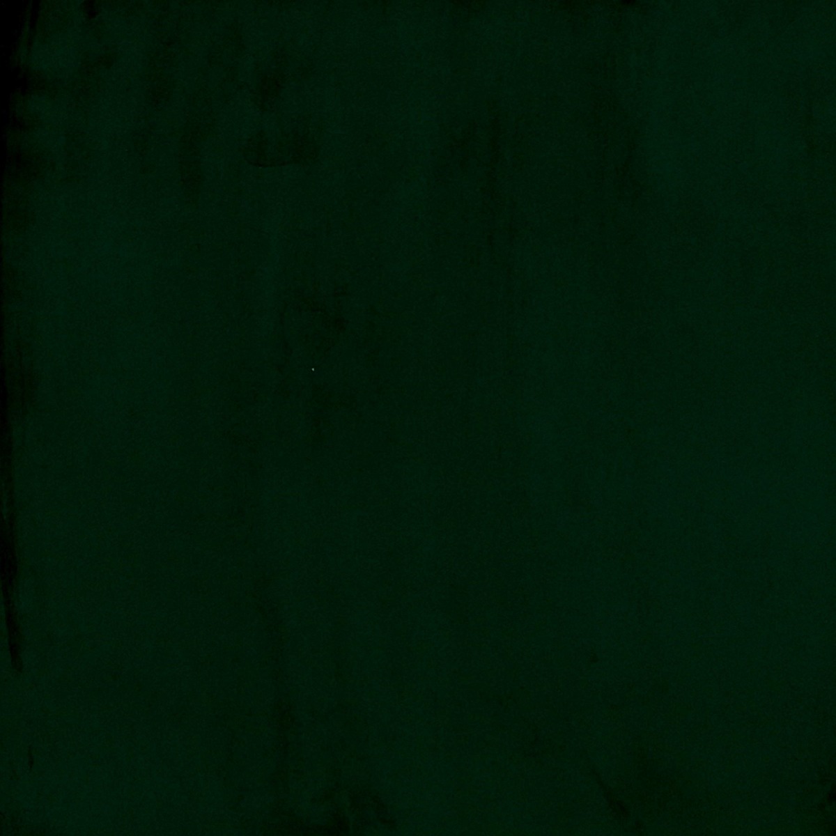 Korson Velour Colour Pine Calgary