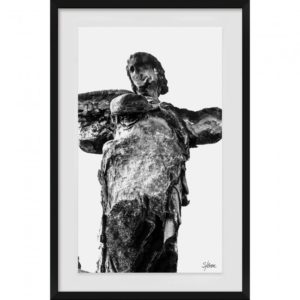 RENWIL W6560 STUDIO LINE DIVINE Printed Rag Paper Shadowbox