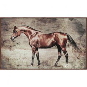 RENWIL CPC20004-COS CABBALUS PRINTED & HAND TEXTURED CANVAS FRAMED Horse
