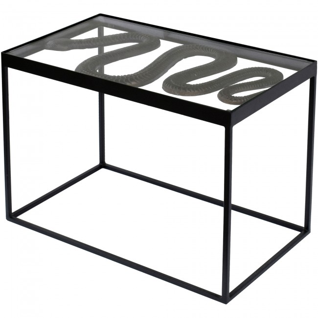 RENWIL TA427 CHIE Snake Glass Top Metal