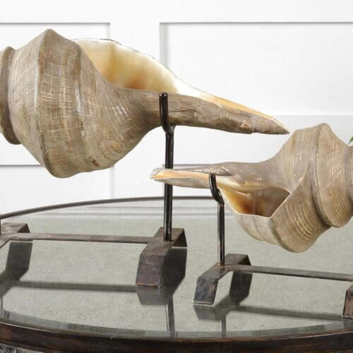 Uttermost Conch Shell Sculpture Set/2 19556 laval