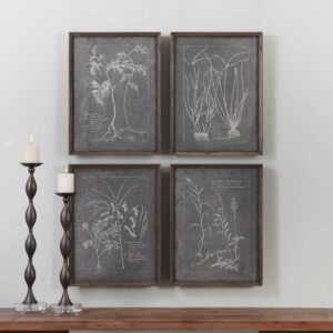 Uttermost Root Study Print Art S/4 32537 OTTAWA