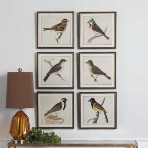 Uttermost Spring Soldiers Bird Prints S/6 33627 toronto