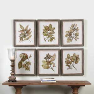 Uttermost Seedlings Framed Prints S/6 33643 BARRIE