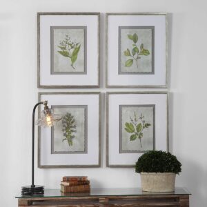 Uttermost Stem Study Framed Prints Set/4 33690 OAKVILLE
