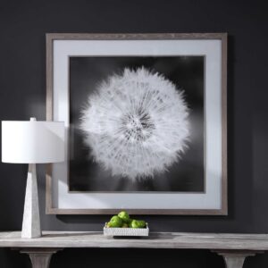 Uttermost Dandelion Seedhead Framed Print 33711 OTTAWA