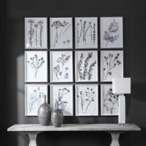 Uttermost Contemporary Botanicals Framed Prints S/12 33713 MONTREAL