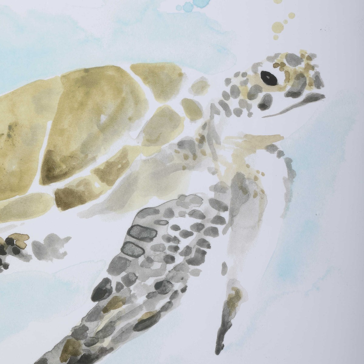 Uttermost Sea Turtle Study Watercolor Prints S/2 33720 caledon