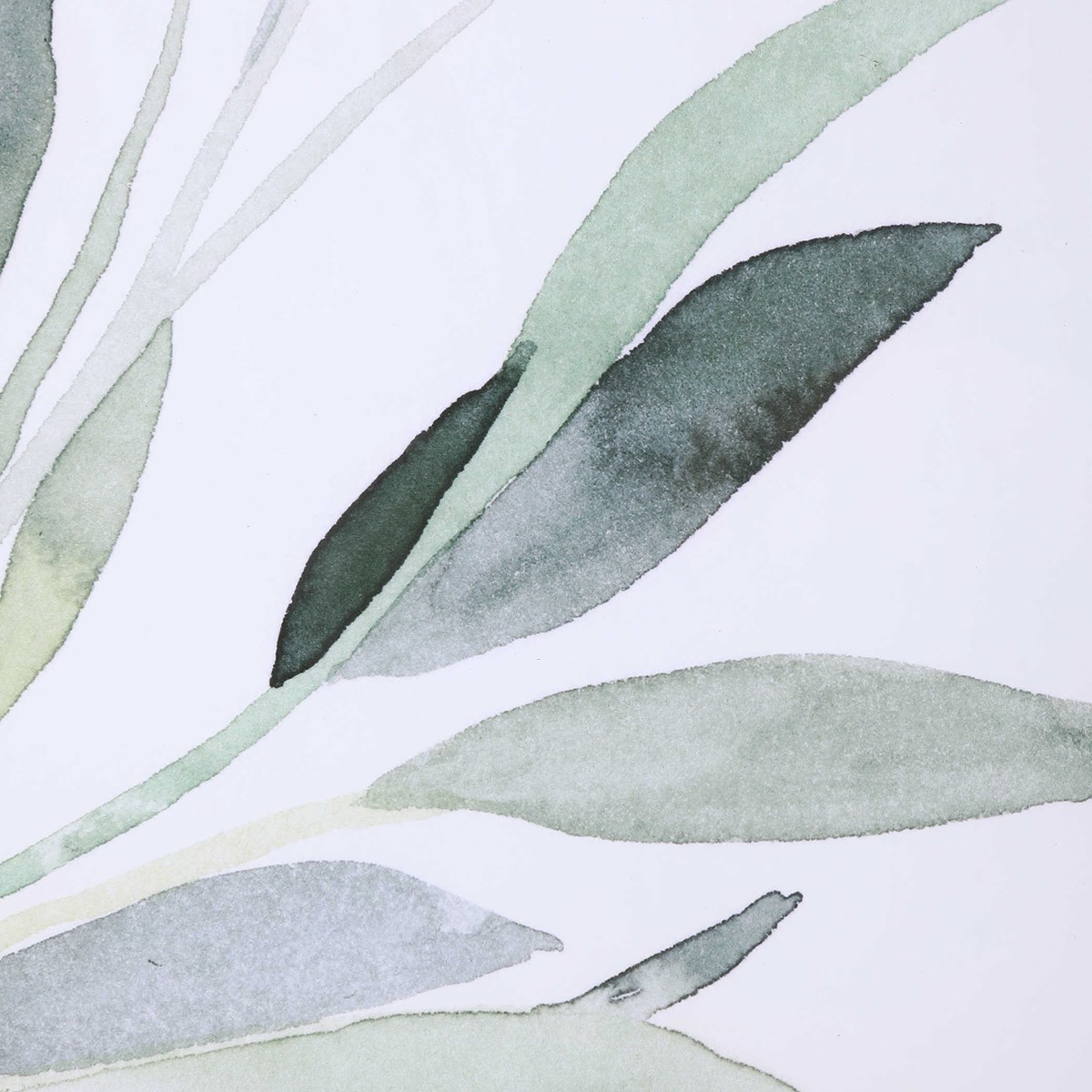 Uttermost Simple Sage Watercolor Prints S/3 33723 laval