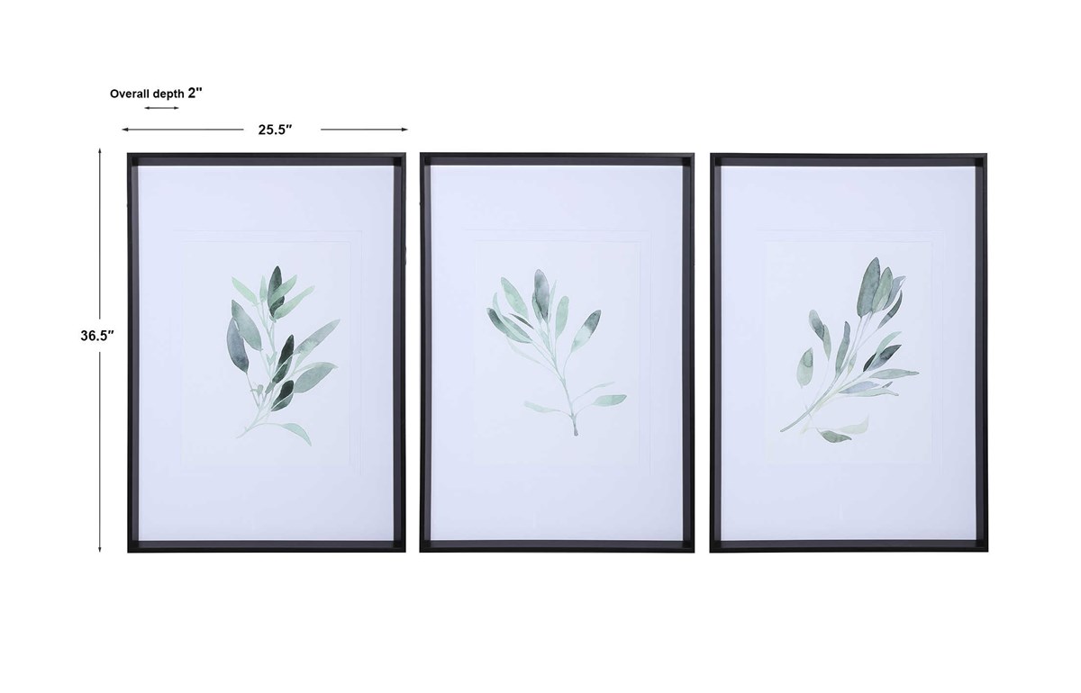 Uttermost Simple Sage Watercolor Prints S/3 33723 laval