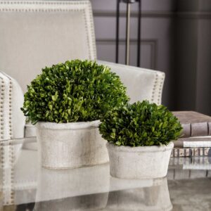 Uttermost Oval Domes Preserved Boxwood Set/2 60107 WINDSOR