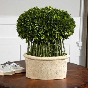 Uttermost Willow Topiary Preserved Boxwood 60108 huntsville