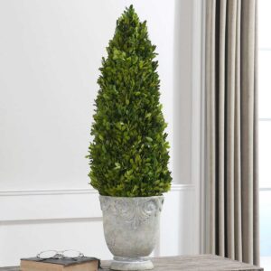 Uttermost Boxwood Cone Topiary 60111 guelph