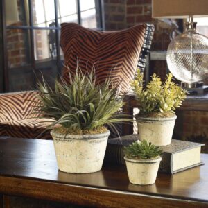 Uttermost La Costa Greenery Set/3 60115 oakville