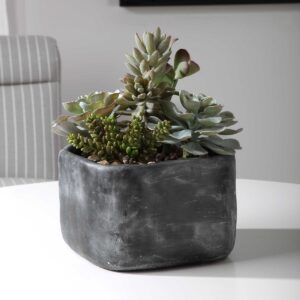Uttermost Alverio Desert Garden Succulents 60173 ottawa