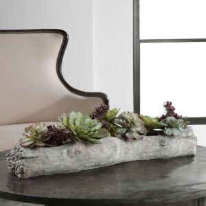 Uttermost Charita Lush Succulents 60174 toronto