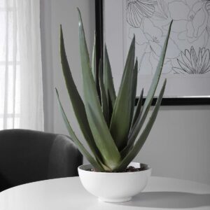 Uttermost Evarado Aloe Planter 60177 woodbridge