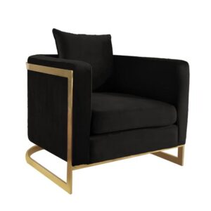 TIJORIS HOME Bond Black and Gold Accent Chair 2020-10BLACK KLEINBURG