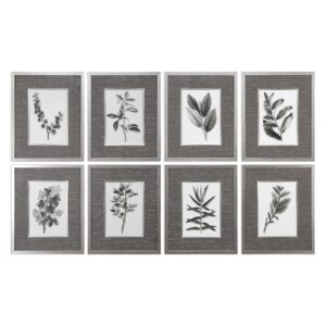 Uttermost Sepia Gray Leaves Prints S/8 33658