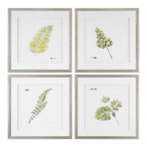 Uttermost Watercolor Leaf Study Prints S/4 33666