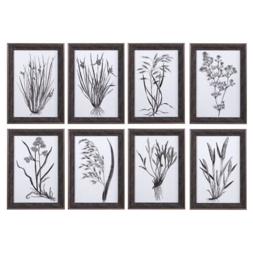 Uttermost Classic Botany Framed Prints, Set/8 33696