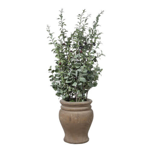Uttermost Tassos Potted Olive 60150