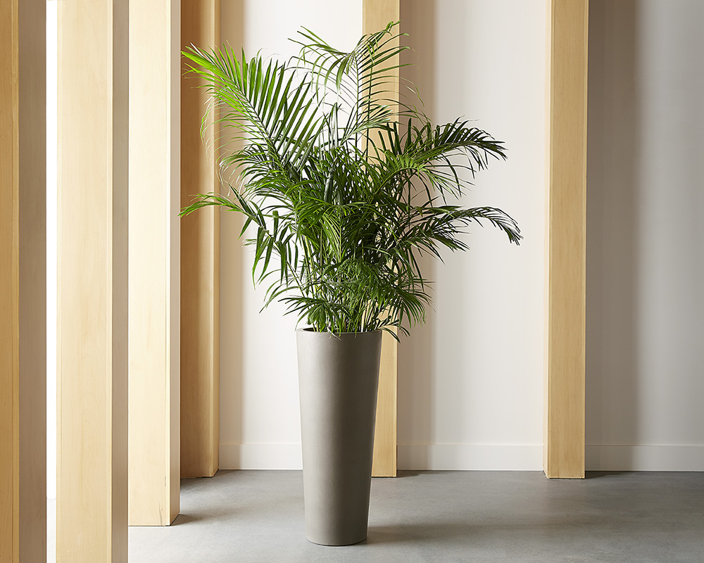 SUNPAN Arbor Planter Large 106713 OTTAWA