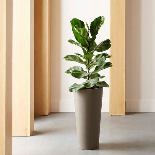 SUNPAN Arbor Planter Small 106714 quebec city