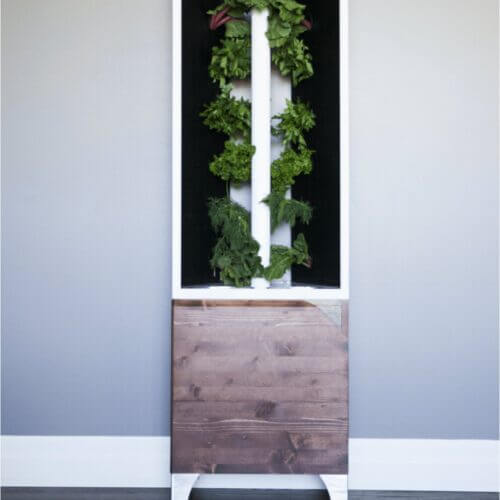 THE EVE INDOOR GARDEN