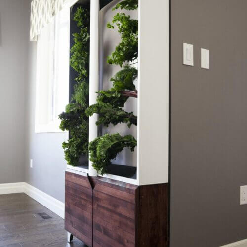 THE AEVA INDOOR GARDEN