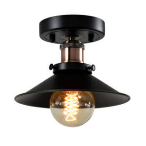 YOUNG LIGHTING SINGLE LIGHT FLUSH MOUNT 1359FM brampton