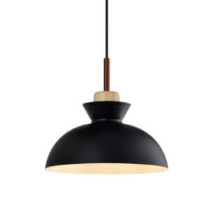 YOUNG LIGHTING SINGLE LIGHT PENDANT 3059P toronto