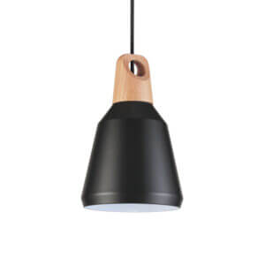 YOUNG LIGHTING SINGLE LIGHT PENDANT 3062P-BK newmarket