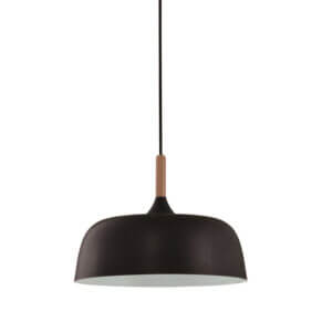 YOUNG LIGHTING SINGLE LIGHT PENDANT 3073P-BK kingston