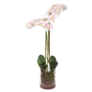 UTTERMOST BLUSH ORCHID 60196 oakville