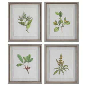 UTTERMOST WILDFLOWER STUDY FRAMED PRINTS, S/4 41461 woodbridge